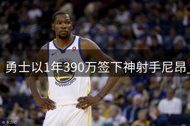 勇士以1年390万签下神射手尼昂 填补阵容最后空缺