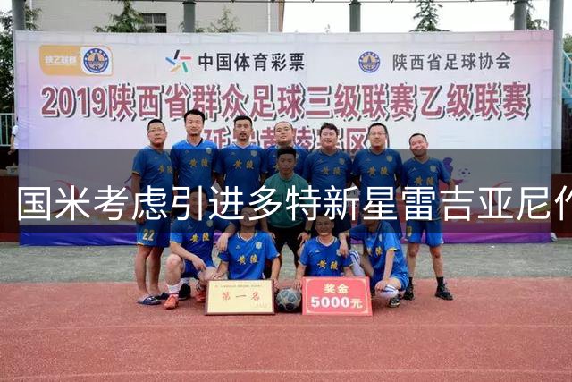 国米考虑引进多特新星雷吉亚尼作为帕瓦尔替代方案